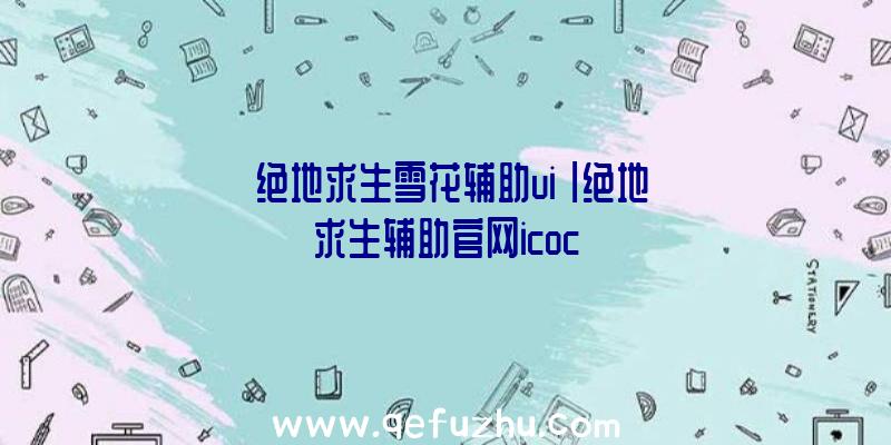「绝地求生雪花辅助ui」|绝地求生辅助官网icoc
